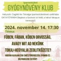 Gyógynövény Klub